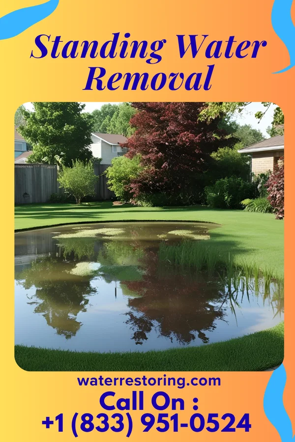 Standing Water Removal in Dekorra, WI